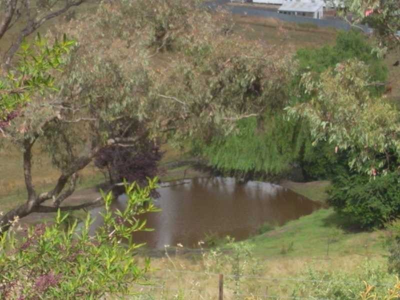 64 Power Street, Tumbarumba NSW 2653