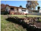 3 Mate Street, Tumbarumba NSW 2653