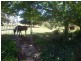 Elmview 1550 Wagga Road, Tumbarumba NSW 2653