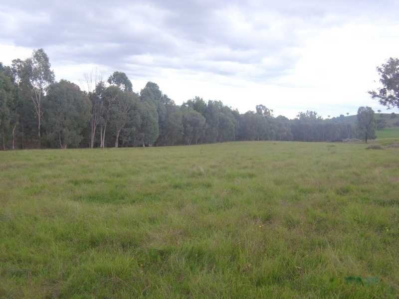 892 Westbrook Rd, Oberne Creek NSW 2650