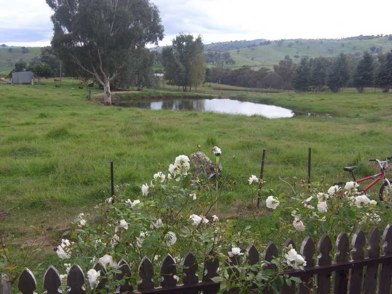 892 Westbrook Rd, Oberne Creek NSW 2650