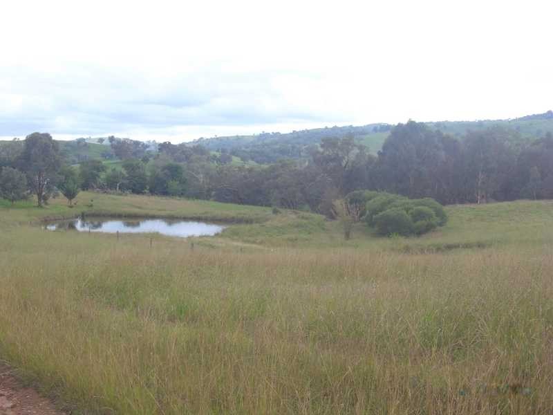 892 Westbrook Rd, Oberne Creek NSW 2650