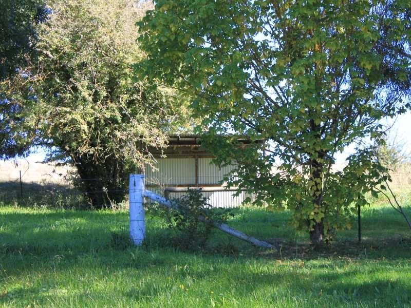 131 Union Jack Road, Tumbarumba NSW 2653