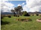 1 Chisholm Street, Tumbarumba NSW 2653
