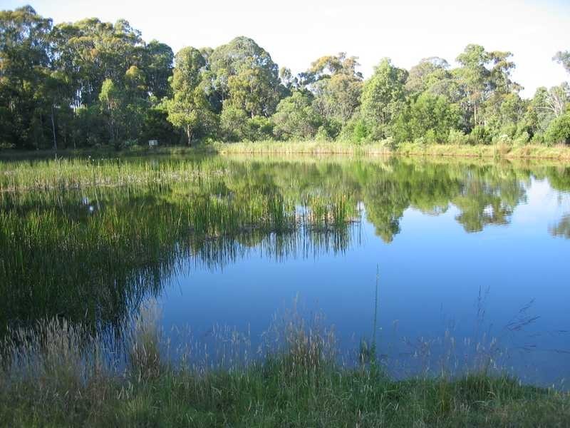 192 Middle Spur Road, Tumbarumba NSW 2653