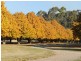 192 Middle Spur Road, Tumbarumba NSW 2653