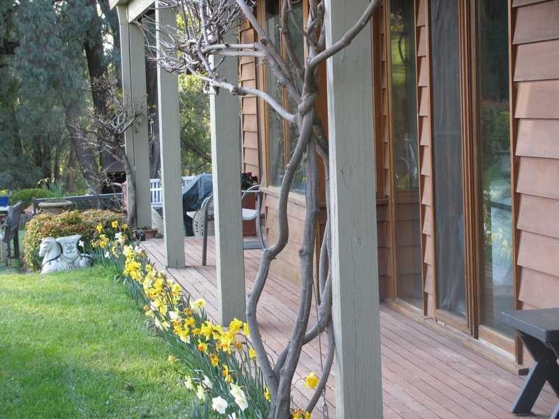192 Middle Spur Road, Tumbarumba NSW 2653