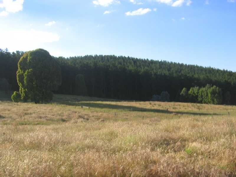 192 Middle Spur Road, Tumbarumba NSW 2653
