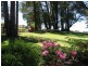 192 Middle Spur Road, Tumbarumba NSW 2653