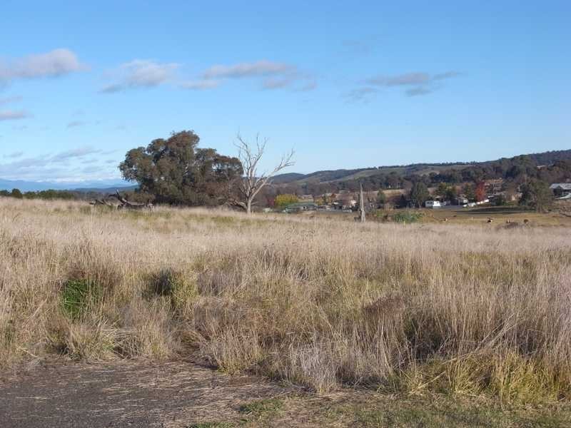 2 Chaffey Close, Tumbarumba NSW 2653
