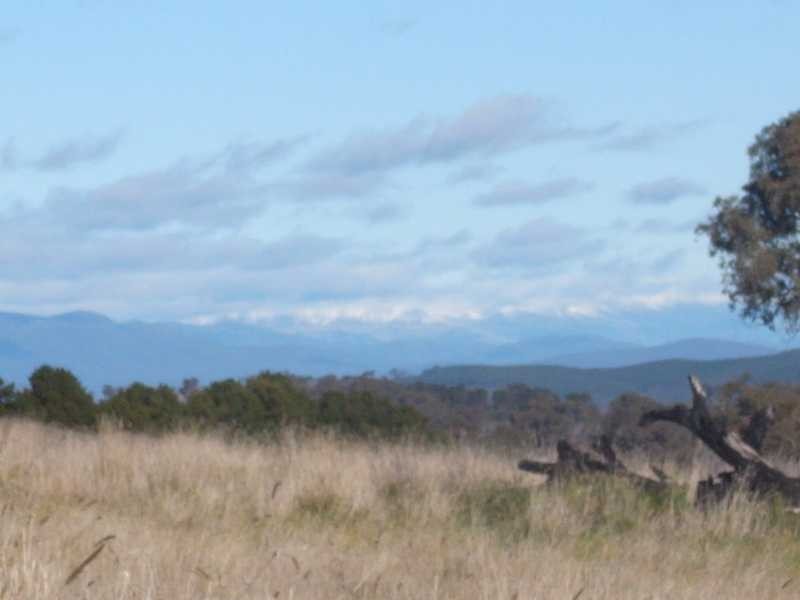 2 Chaffey Close, Tumbarumba NSW 2653
