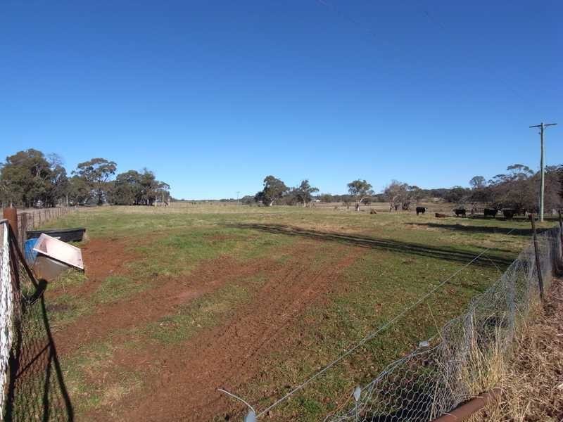 136 Coppabella Road, Tumbarumba NSW 2653