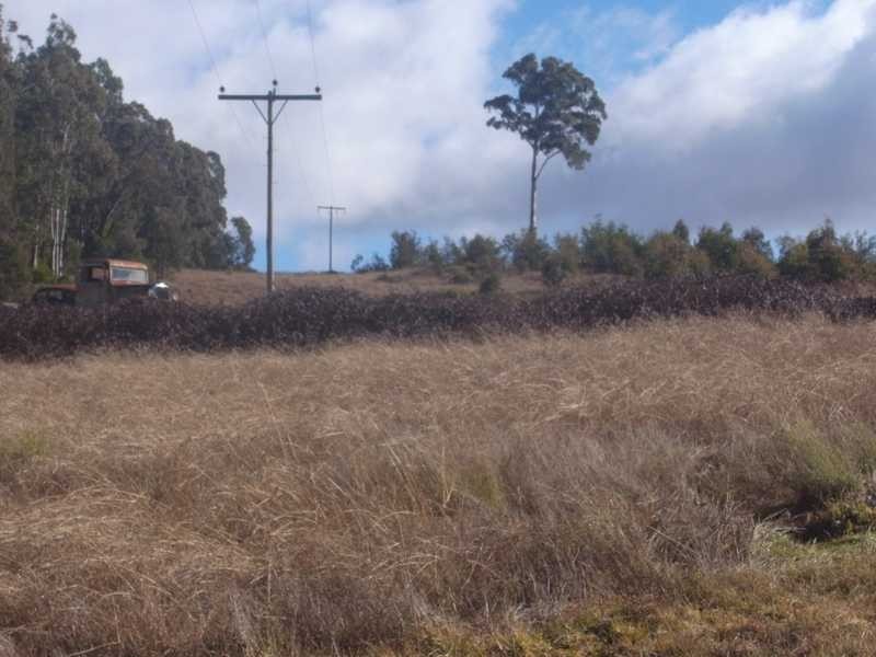 33 Shedley’s Road, Tumbarumba NSW 2653