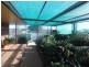 12a Park Street, Tumbarumba NSW 2653