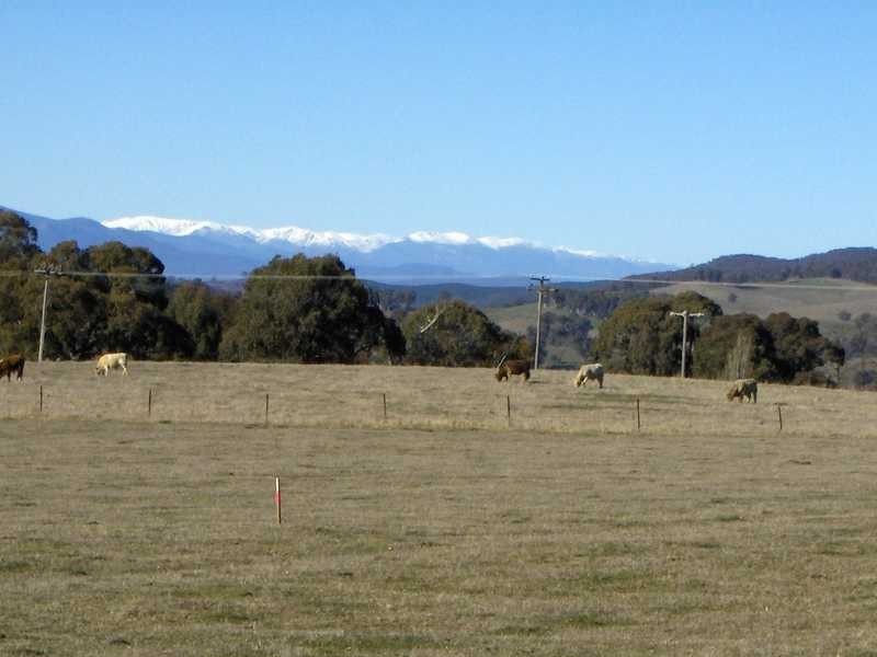 6 Burgun Drive, Tumbarumba NSW 2653