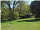 215 Bago Forest Road, Tumbarumba NSW 2653