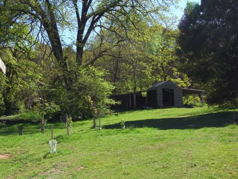 215 Bago Forest Road, Tumbarumba NSW 2653
