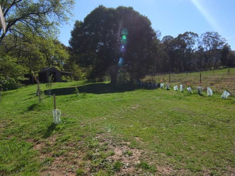 215 Bago Forest Road, Tumbarumba NSW 2653