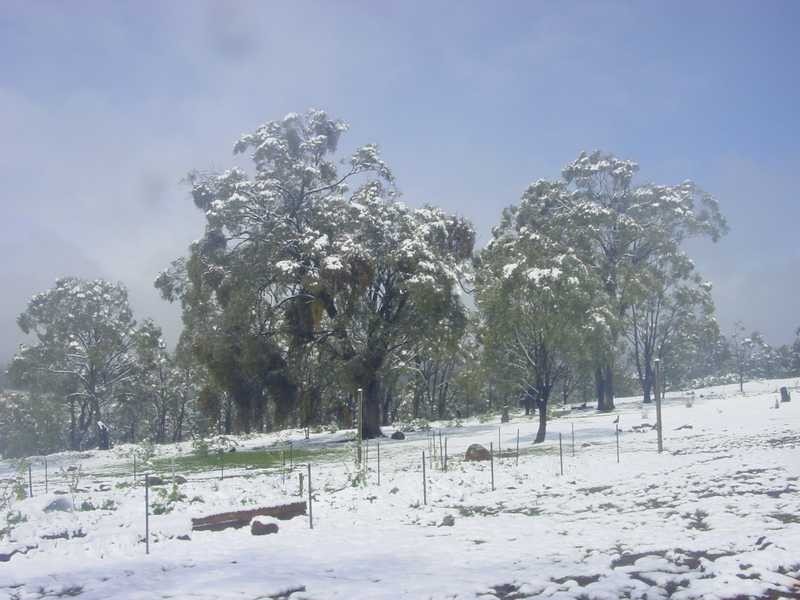 1408 Tooma Road, Tumbarumba NSW 2653