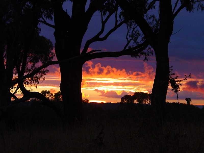 1408 Tooma Road, Tumbarumba NSW 2653