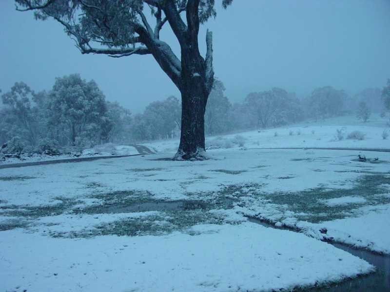 1408 Tooma Road, Tumbarumba NSW 2653