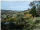 Bogong Street, Tumbarumba NSW 2653