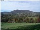 Bogong Street, Tumbarumba NSW 2653