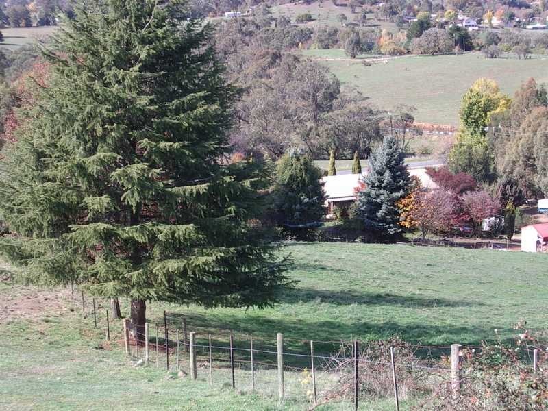 Bogong Street, Tumbarumba NSW 2653