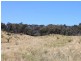 Part of 955 Maragle Road, Tumbarumba NSW 2653