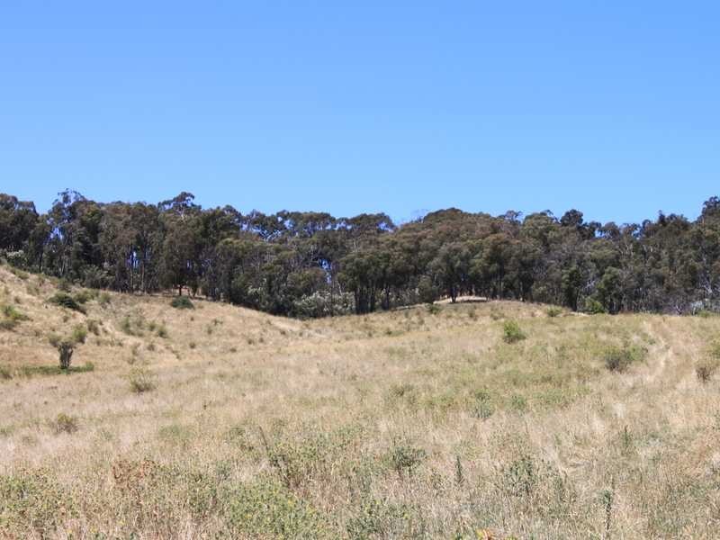 Part of 955 Maragle Road, Tumbarumba NSW 2653