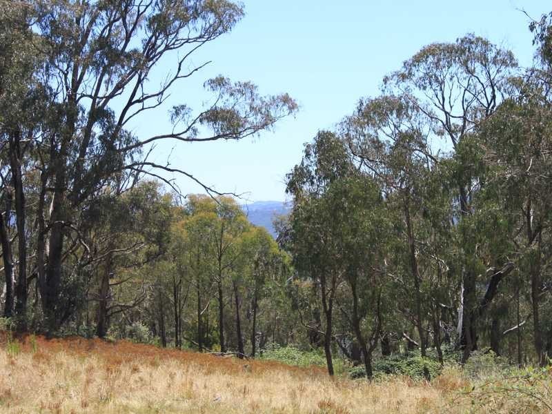 Part of 955 Maragle Road, Tumbarumba NSW 2653