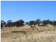 Part of 955 Maragle Road, Tumbarumba NSW 2653
