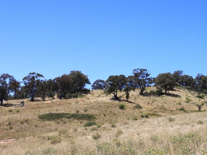 Part of 955 Maragle Road, Tumbarumba NSW 2653