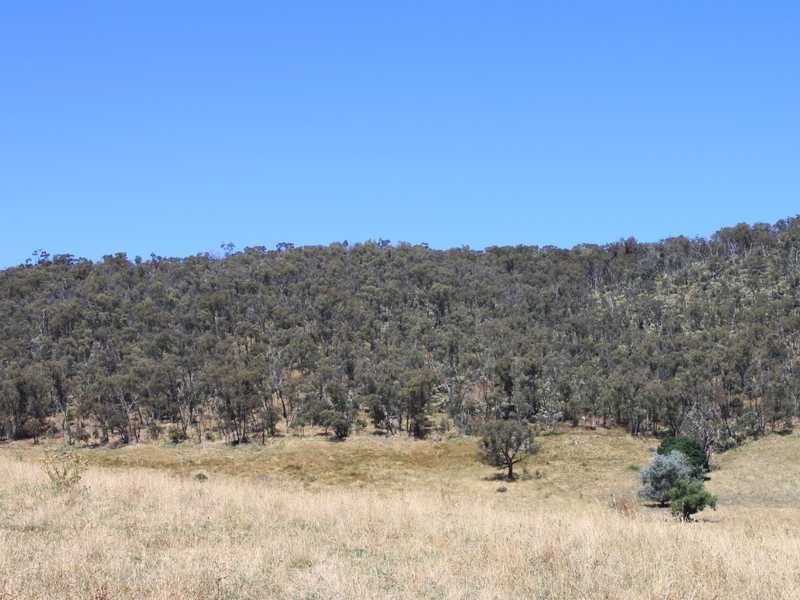 Part of 955 Maragle Road, Tumbarumba NSW 2653