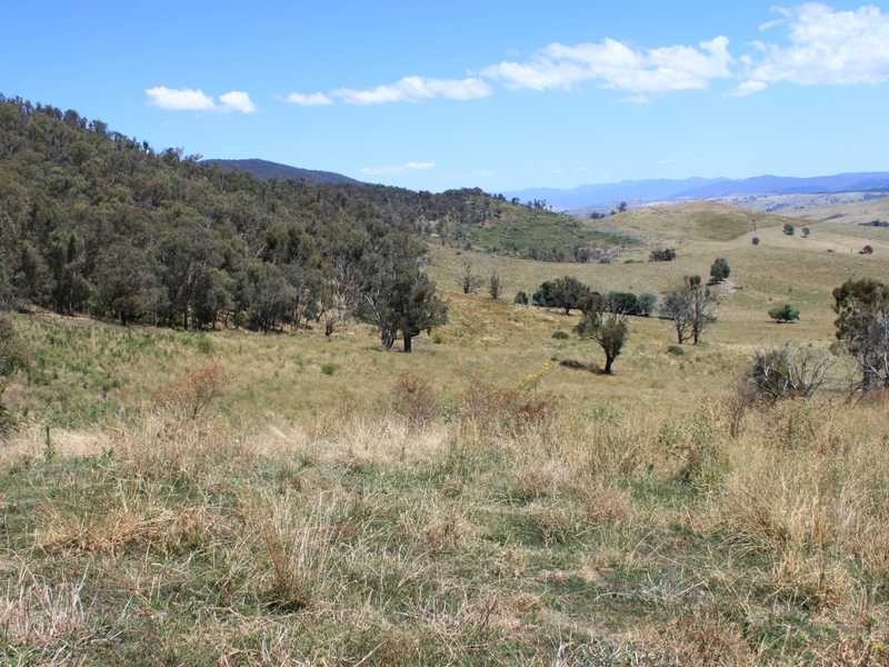 Part of 955 Maragle Road, Tumbarumba NSW 2653