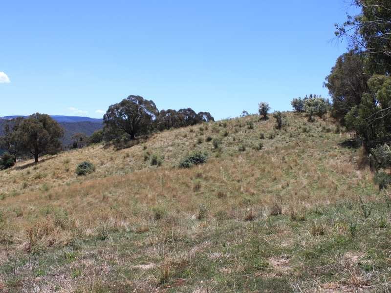 Part of 955 Maragle Road, Tumbarumba NSW 2653