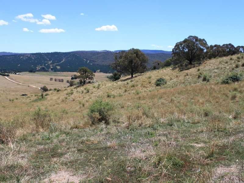 Part of 955 Maragle Road, Tumbarumba NSW 2653