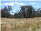 Part of 955 Maragle Road, Tumbarumba NSW 2653