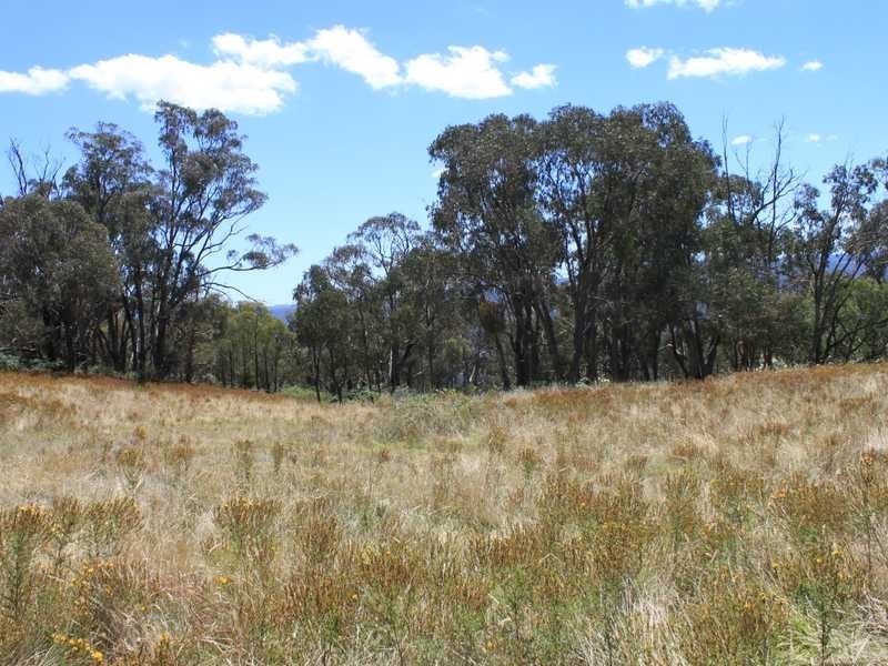 Part of 955 Maragle Road, Tumbarumba NSW 2653