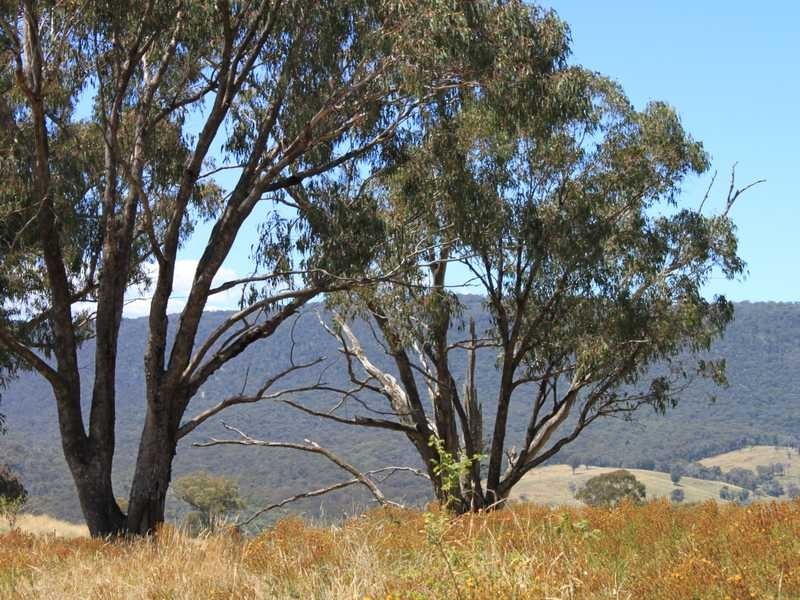Part of 955 Maragle Road, Tumbarumba NSW 2653