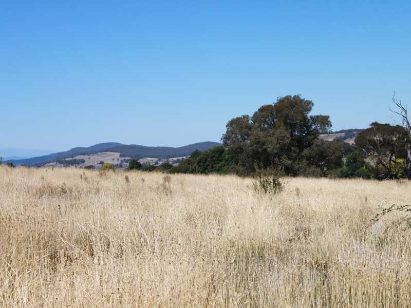 Lot 10 Chaffey Close, Tumbarumba NSW 2653