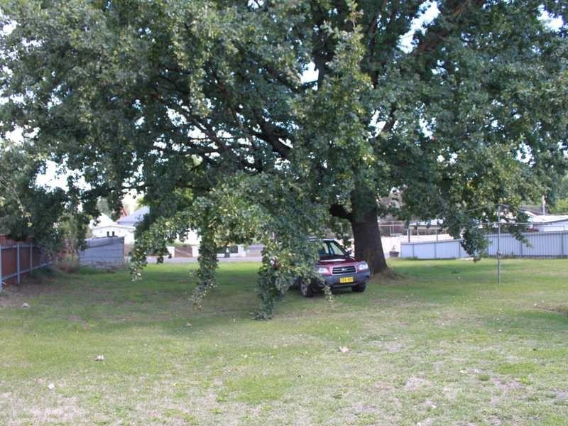 16 Bridge Street, Tumbarumba NSW 2653