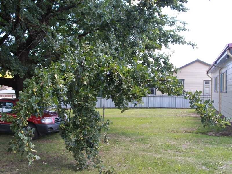 16 Bridge Street, Tumbarumba NSW 2653