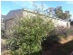 1639 Wagga Road, Tumbarumba NSW 2653