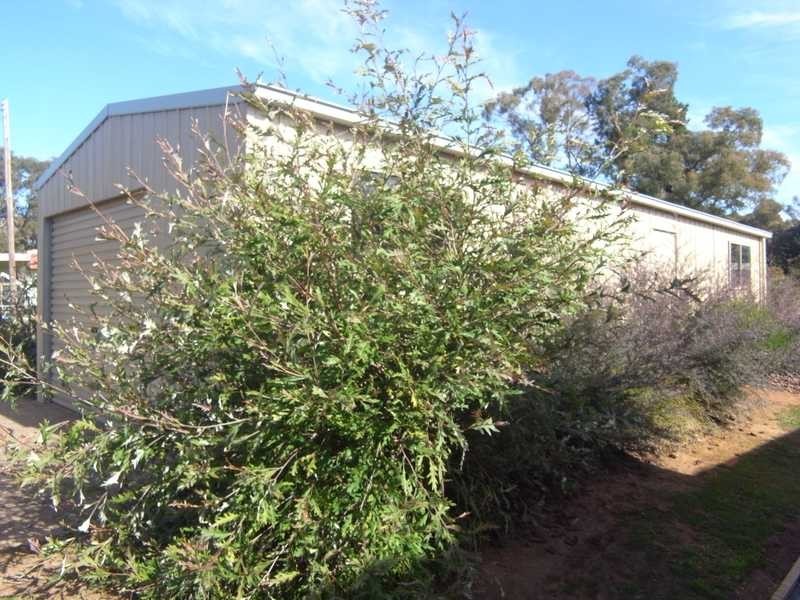 1639 Wagga Road, Tumbarumba NSW 2653