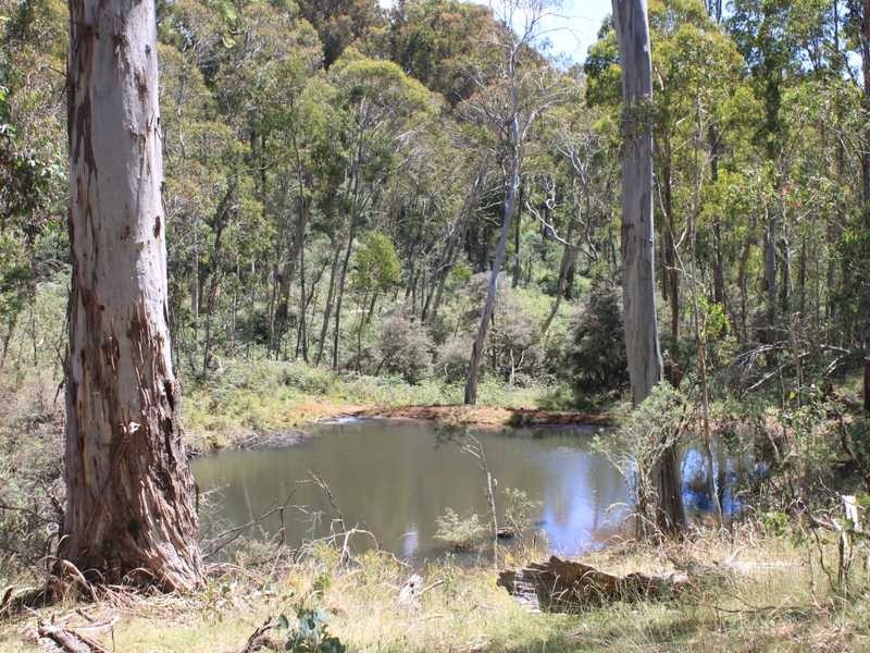 Lot 6 Bradley’s Drive, Tumbarumba NSW 2653