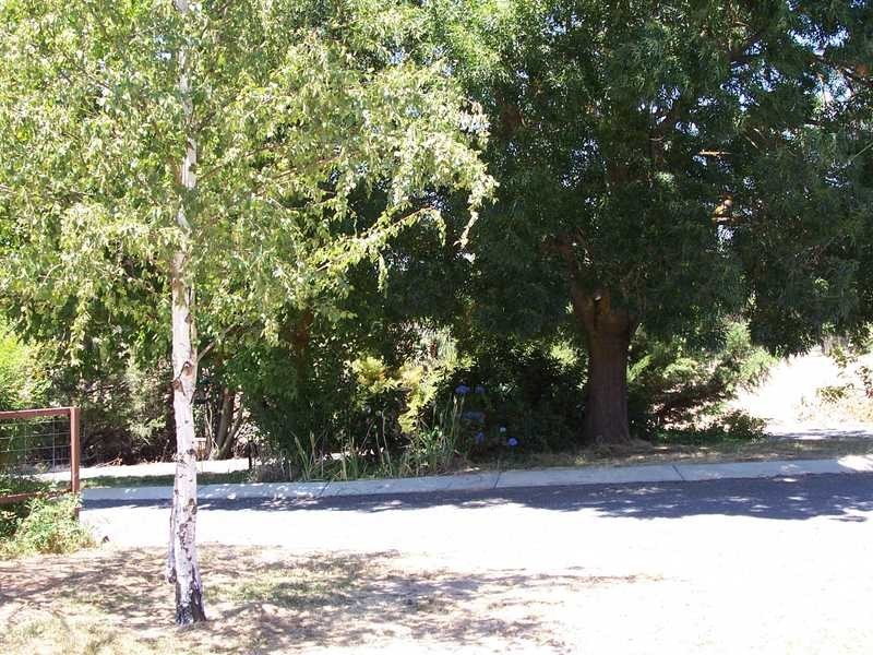 60 Ramsay Road, Tumbarumba NSW 2653