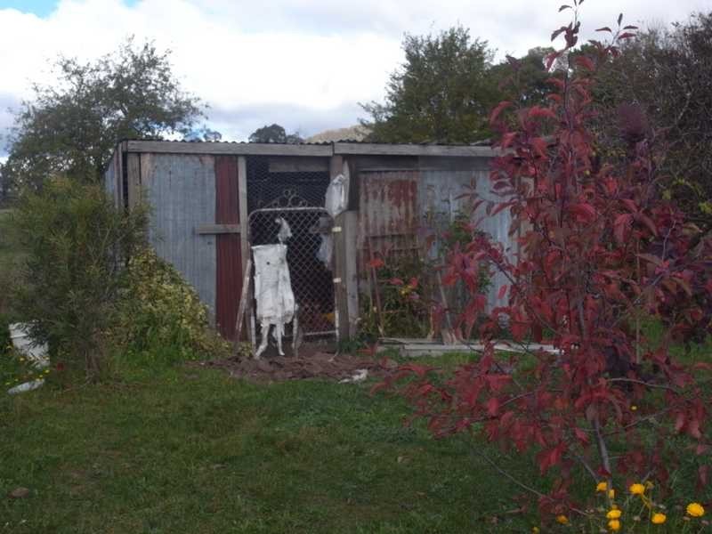 15 Blue Dog Lane, Tumbarumba NSW 2653