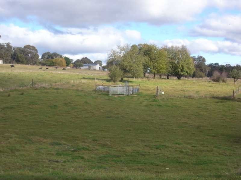 15 Blue Dog Lane, Tumbarumba NSW 2653