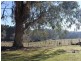 31 Pound Creek Road, Tumbarumba NSW 2653